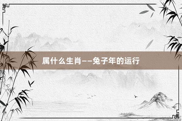 属什么生肖——兔子年的运行
